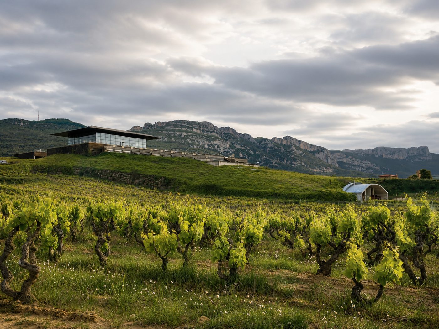Bodega Baigorri — sfeer 2